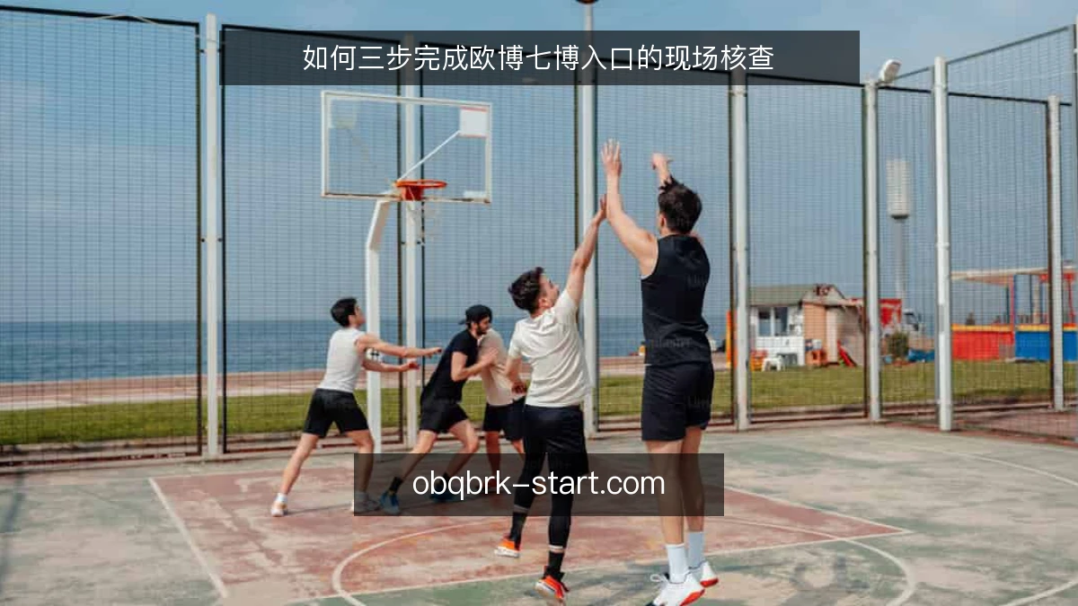 如何三步完成欧博七博入口的现场核查