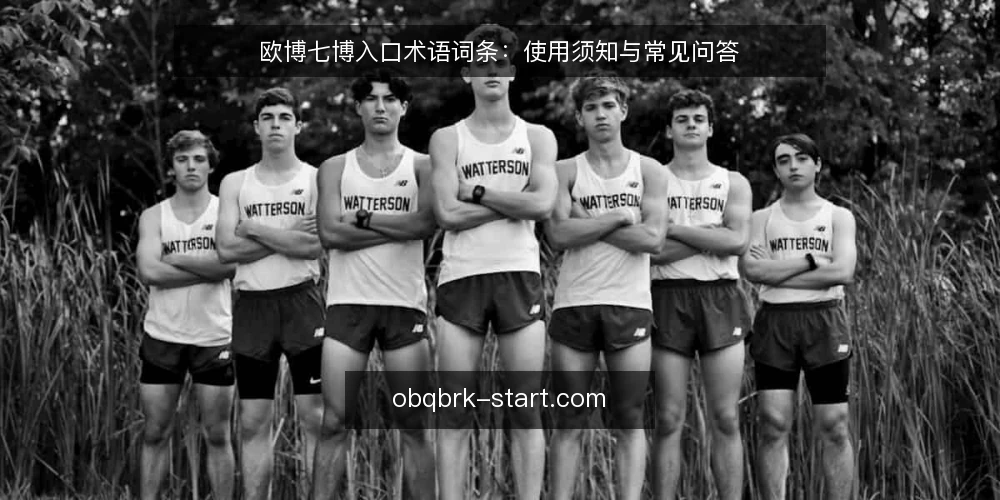 欧博七博入口术语词条:使用须知与常见问答 — 欧博七博入口词条是什么 配图