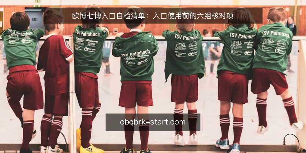 欧博七博入口自检清单：入口使用前的六组核对项 — 为什么现在要做一次入口自检 配图